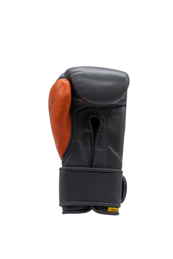 CRIXUS I Hook & Loop Gloves