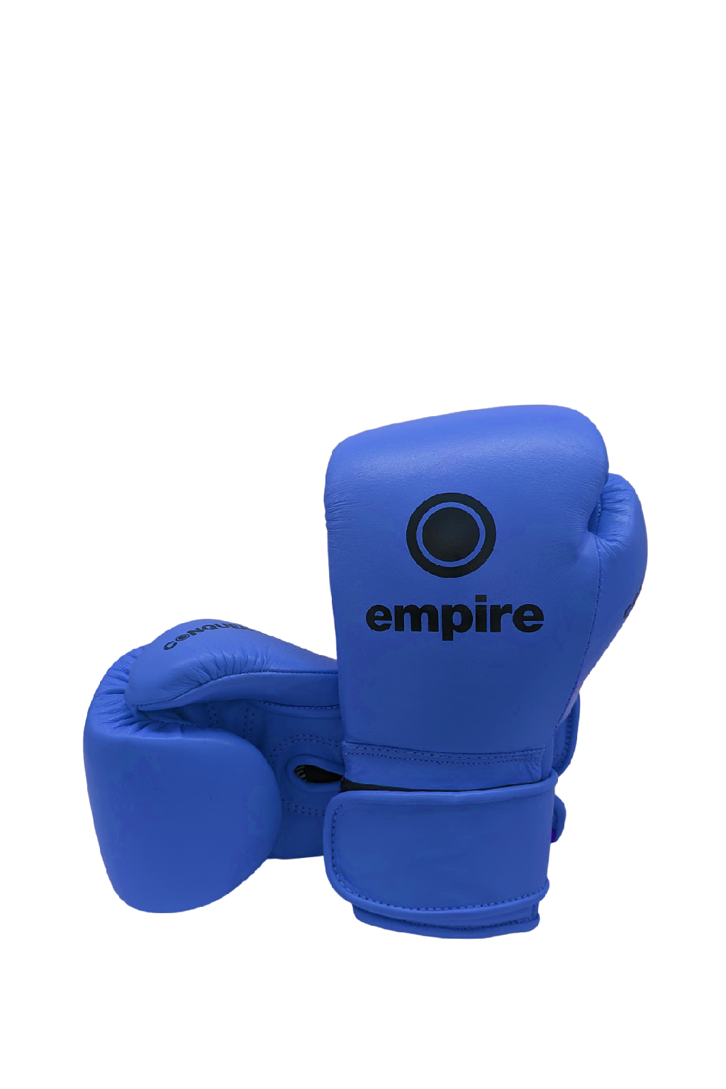 Mini MAXIMUS I Blue 6oz Gloves