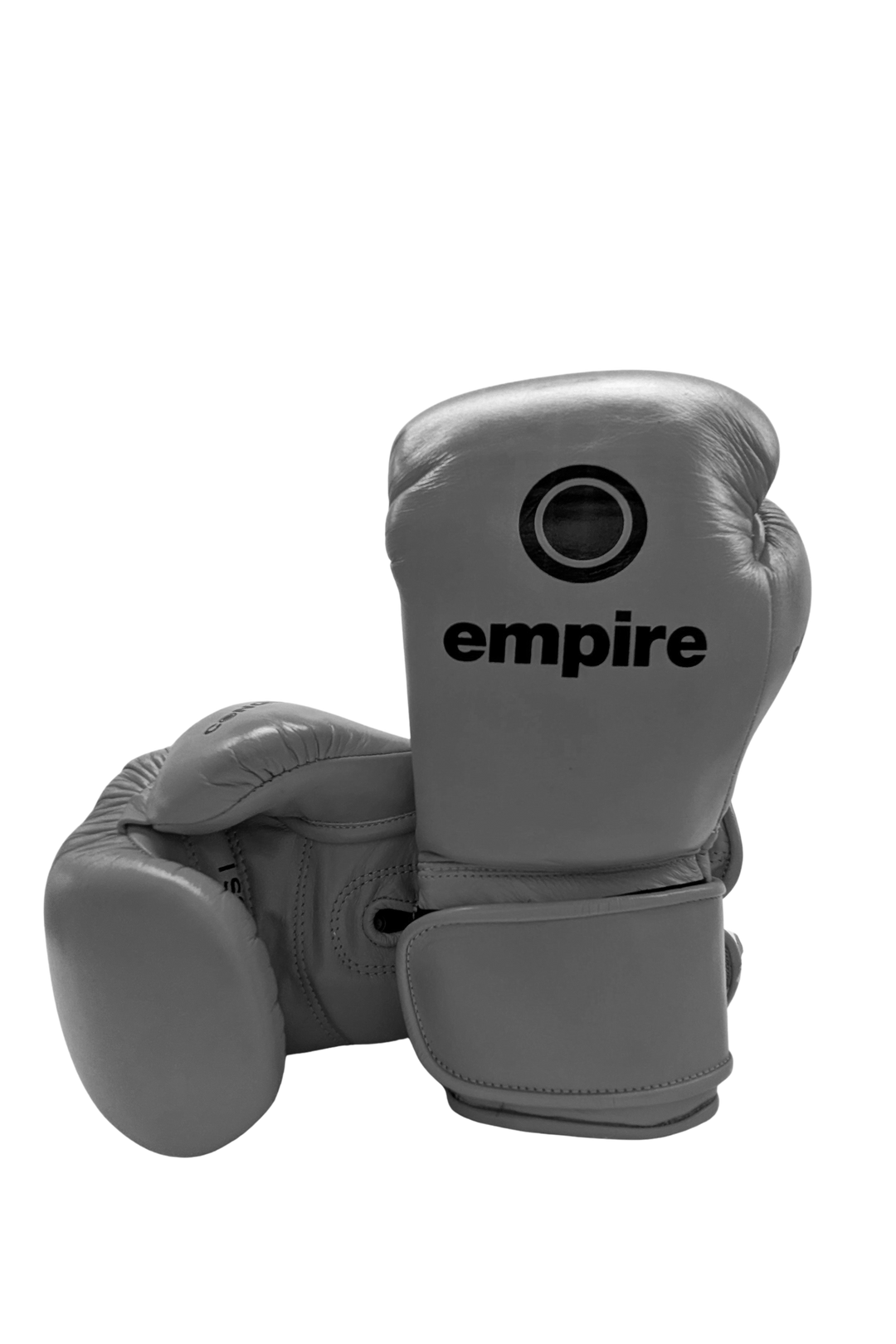 Sparring Gloves – Empire Fight Store