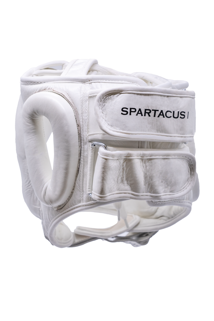 Spartacus I Bar Head Guard