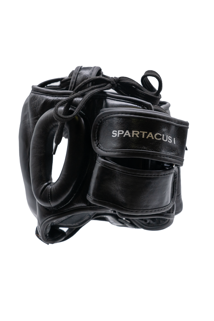 Spartacus I Bar Head Guard